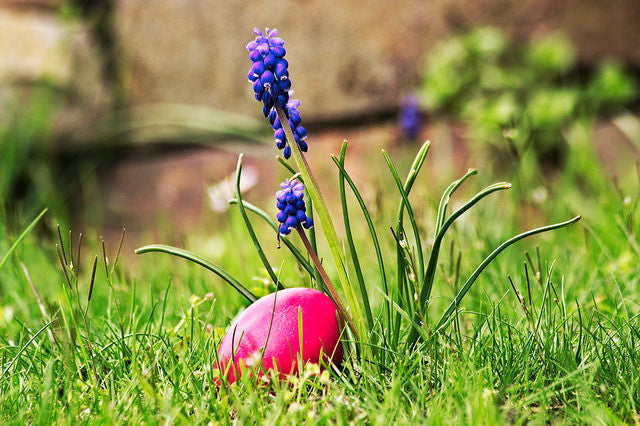 Cultural Rituals of Spring and Easter and Their Significance