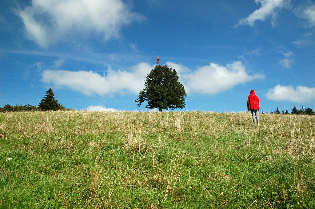 Think before Scattering Ashes