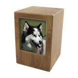 Natural Pet Photo Urn in Extra Large