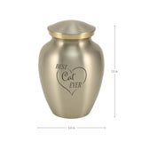 Near & Dear® Classic Expressions: "Best Cat Ever" Pewter Pet Urn In Small