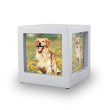 Silver Pet Photo Cube Urn in Small