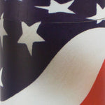 Patriot Scattering Cremation Urn- Extra Large